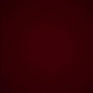 Meet your Posher, Nico